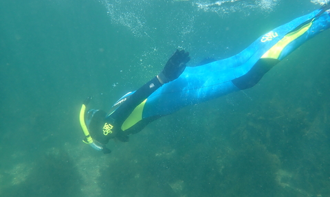 Duck dive - Snorkel Safari with WMC