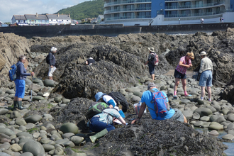 Shoresearch volunteers North Devon