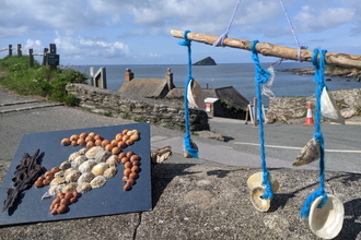 Photo of seashore crafts at Wembury Marine Centre