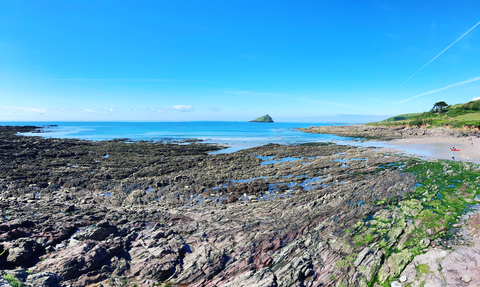 Rocky shore at Wembury 