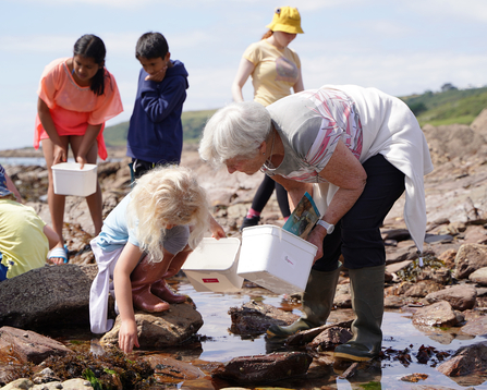 Grandma and granddaughter rockpooling at wembury