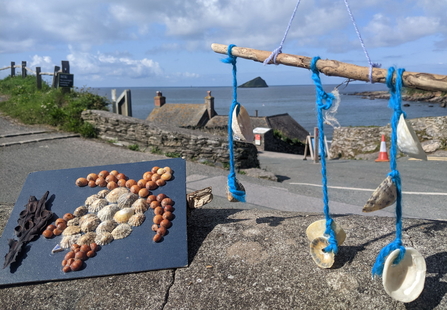 Photo of seashore crafts at Wembury Marine Centre